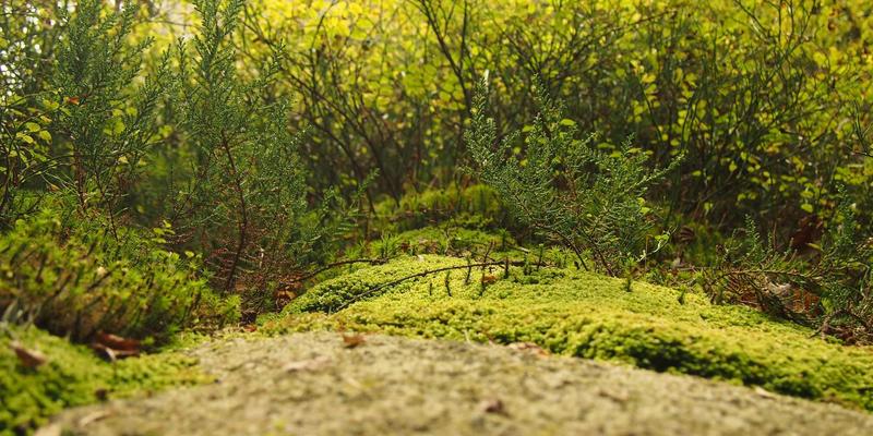 BQ气体与特种气体：攻克光伏电池片制造的纯度挑战与焊接气体解决方案