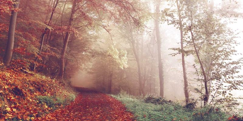 BQ气体与高纯气体：焊接保护气体的选择如何决定航空航天制造的质量命脉