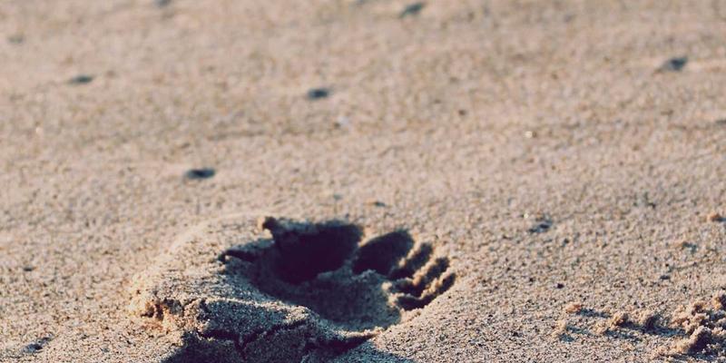 从实验室气体到焊接气体：医用氧气供应链的现代化管理与质量控制