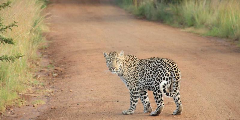 从焊接气体到高纯气体供应：氢气在化工与冶金领域的双重革命