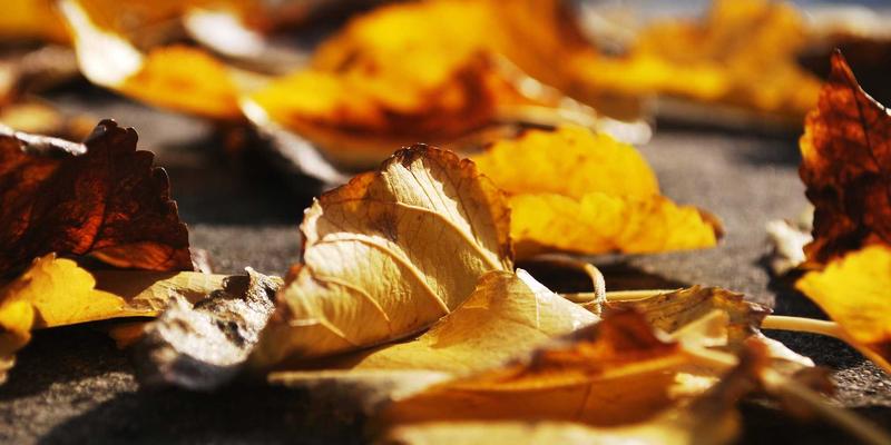 工业气体87:解码实验室气体、焊接气体与BQ气体的核心应用与安全规范