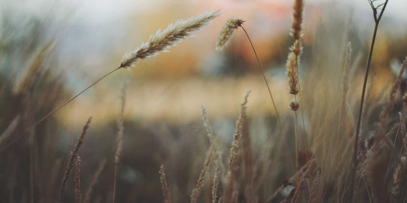 工业气体前景展望：BQ气体、工业气体与实验室气体的创新融合与未来趋势