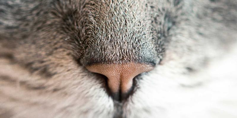 工业气体深度解析：从焊接气体到BQ气体供应的关键角色