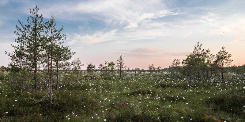 现场制气模式：解锁大型钢铁、化工企业降本增效新路径——聚焦高纯气体、焊接气体与BQ气体