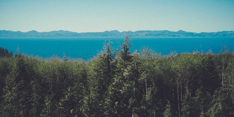 电子特气国产化进程：突破高纯气体“卡脖子”技术，保障BQ气体供应与产业链安全