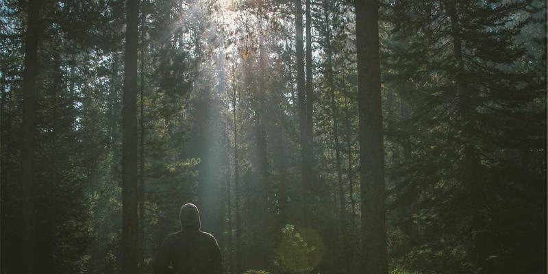 筑牢安全防线：特种气体、高纯气体与焊接气体的储运标准化管理